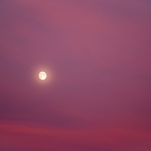 Pink Moon Purple Sky