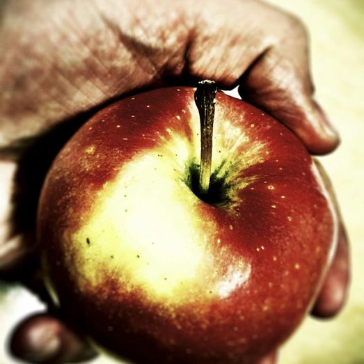 An Apple in Hand
